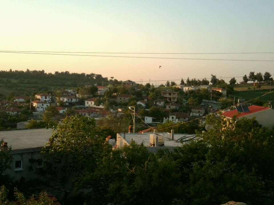 Çanakkale Biga Denizgöründü Köyü'nde Profesyonel Haşere ve Kemirgenle Mücadele Hizmeti – Koruma Mühendislik Güvencesiyle