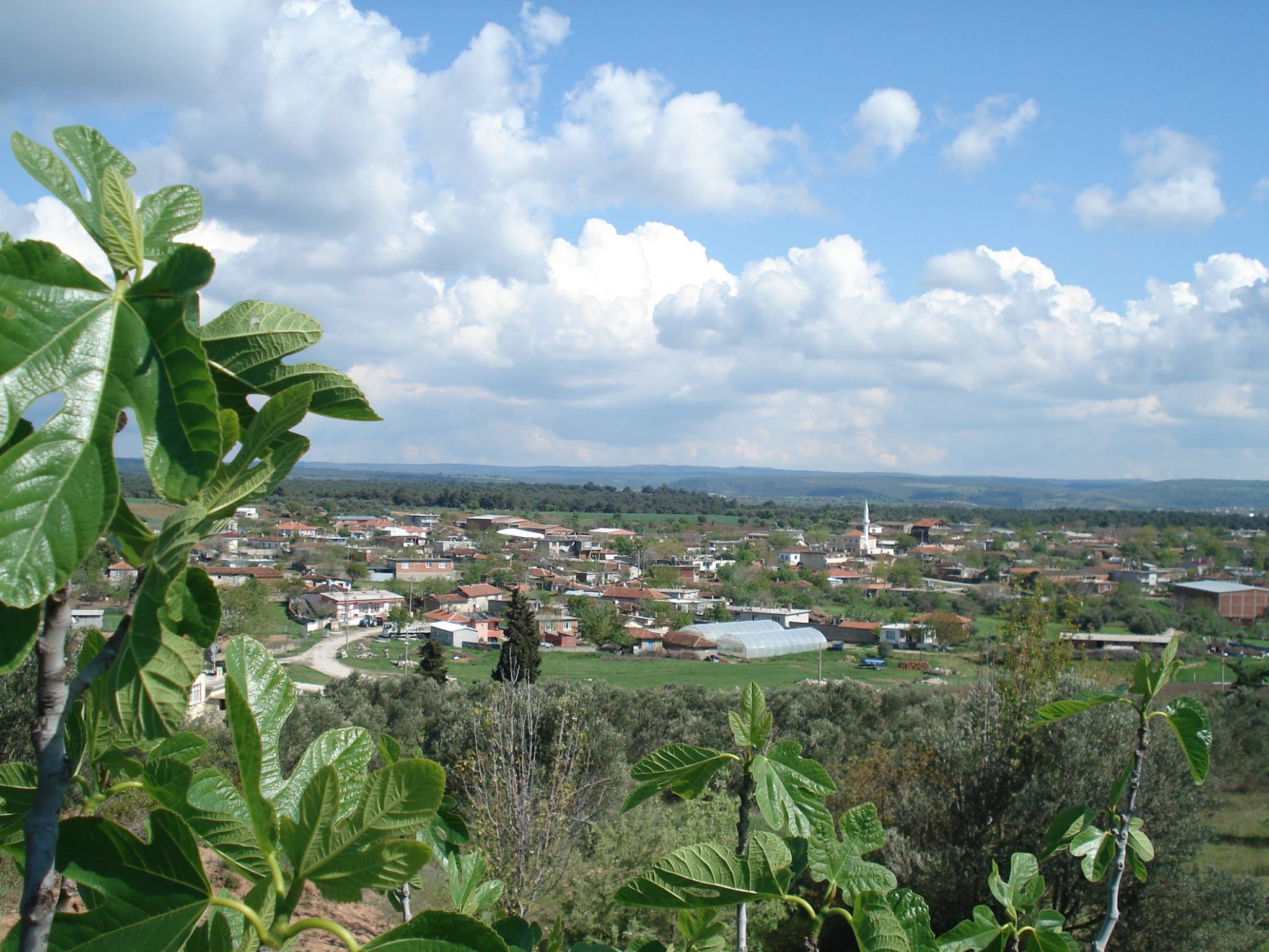 Çanakkale Gökçalı Köyü’nde Etkili Haşere ve Kemirgenle Mücadele Hizmetleri – Koruma Mühendislik Güvencesiyle