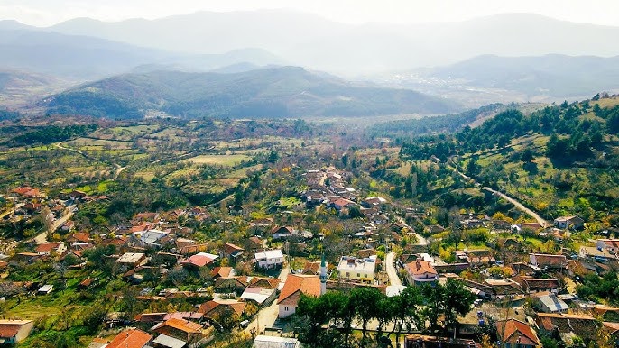 Çanakkale Haliloğlu Köyü’nde Profesyonel Haşere ve Kemirgenle Mücadele Hizmetleri – Koruma Mühendislik