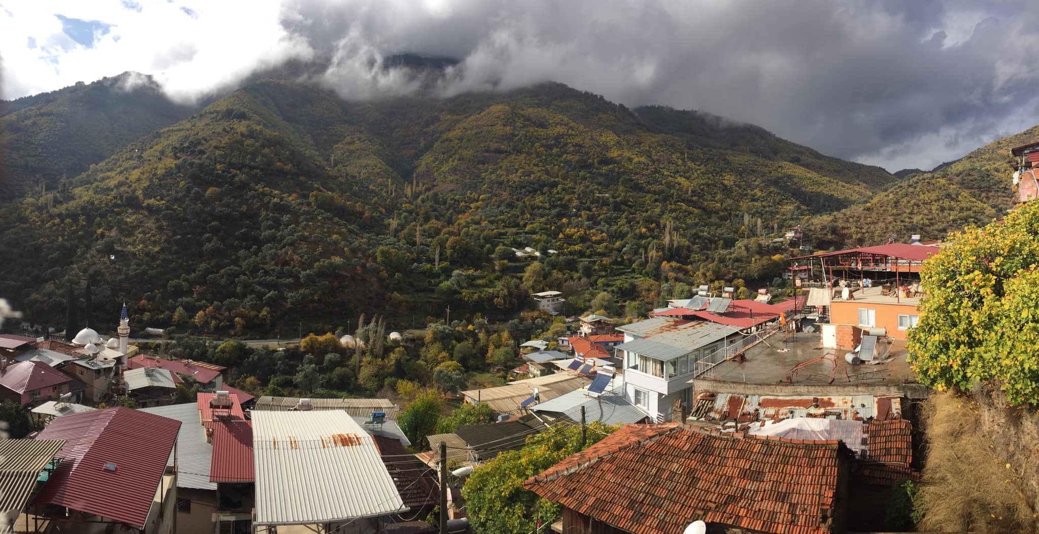 Çanakkale Işıklar Köyü’nde Etkili Haşere ve Kemirgenle Mücadele Hizmetleri – Koruma Mühendislik