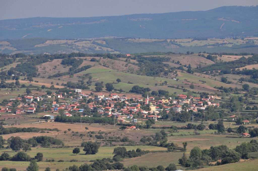 Çanakkale Kalafat Köyü’nde Profesyonel Haşere ve Kemirgenle Mücadele Hizmetleri – Koruma Mühendislik