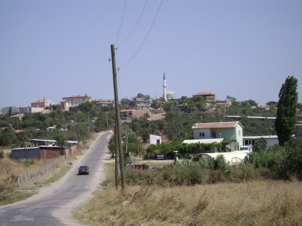 Çanakkale Karacaören Köyü’nde Etkili Haşere ve Kemirgenle Mücadele Hizmetleri – Koruma Mühendislik