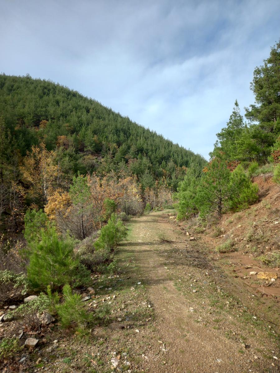 Çanakkale Karapınar Köyü’nde Haşere ve Kemirgenle Mücadelede Koruma Mühendislik Güvencesi