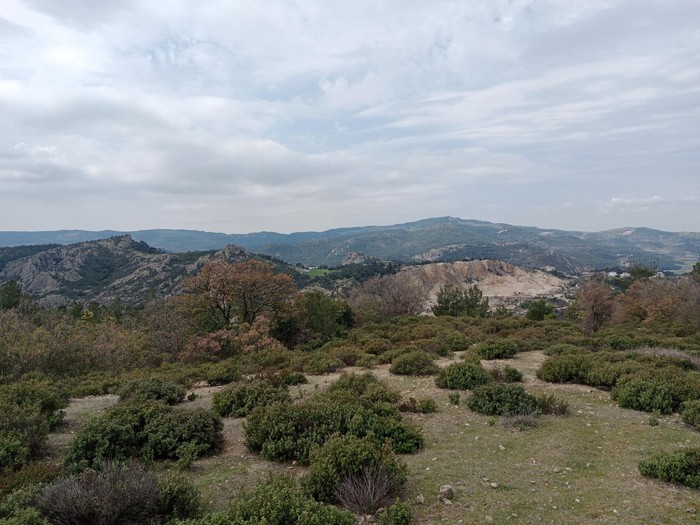 Çanakkale Kayadere Köyü'nde Haşere ve Kemirgenlerle Etkili Mücadele — Koruma Mühendislik Hizmetleri