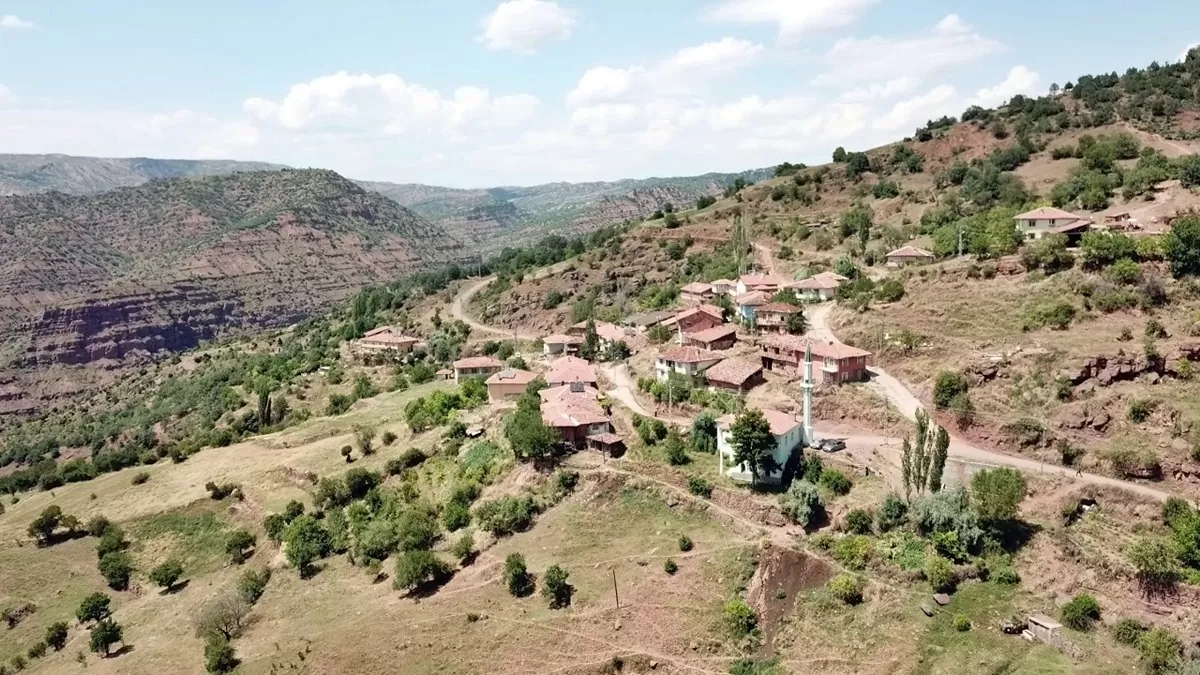 Çanakkale Kurşunlu Köyü’nde Haşere ve Kemirgenle Mücadelede Güvenilir Çözüm: Koruma Mühendislik