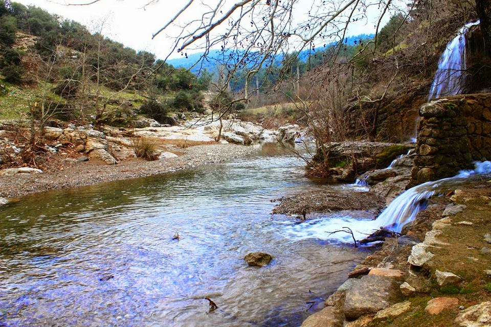 Çiftlikdere Köyü'nde Etkili Haşere ve Kemirgenle Mücadele: Koruma Mühendislik Hizmetinizde