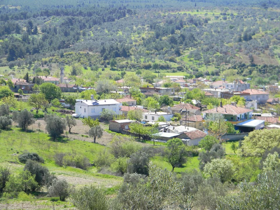 Çanakkale Dümrek Köyü'nde Haşere ve Kemirgenle Mücadelede Uzman Çözüm: Koruma Mühendislik