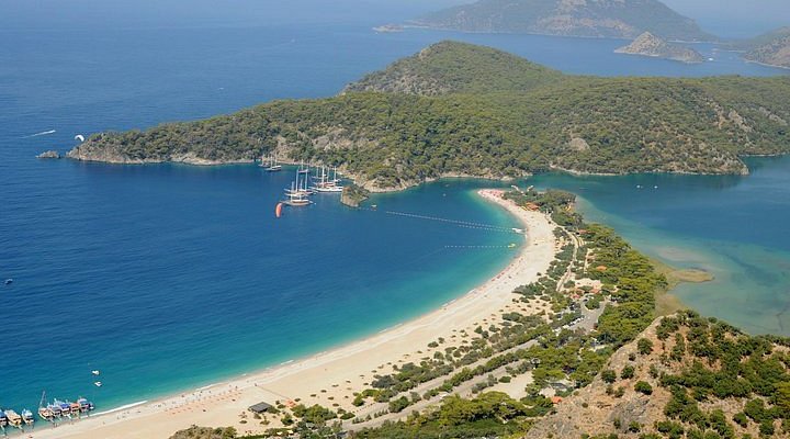 Sarıcaali Köyü'nde Profesyonel Haşere ve Kemirgenle Mücadele Hizmeti – Koruma Mühendislik